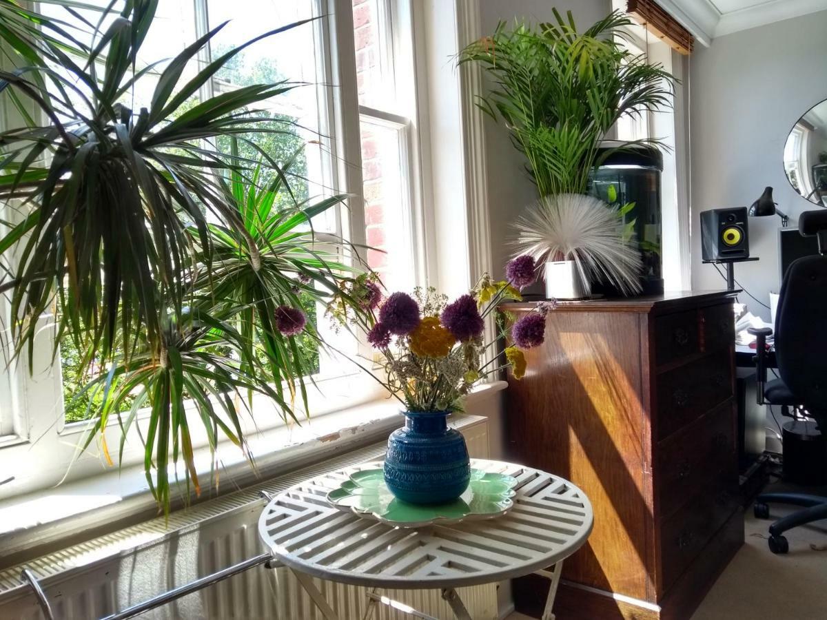 Stunning Retro Apartment In Central برايتون المظهر الخارجي الصورة